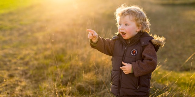 Young boy, 2 years, pointing surprised to the left in the sunset on a meadow.